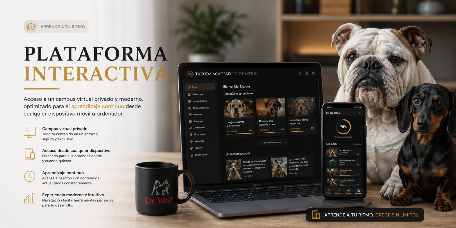 Plataforma interactiva