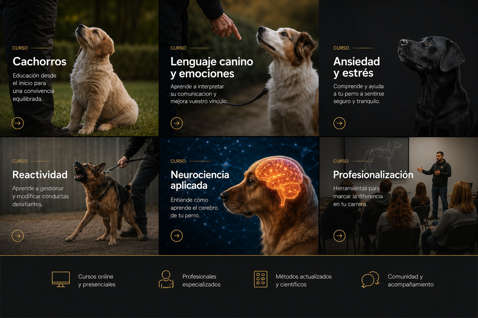 +20 Cursos Grabados