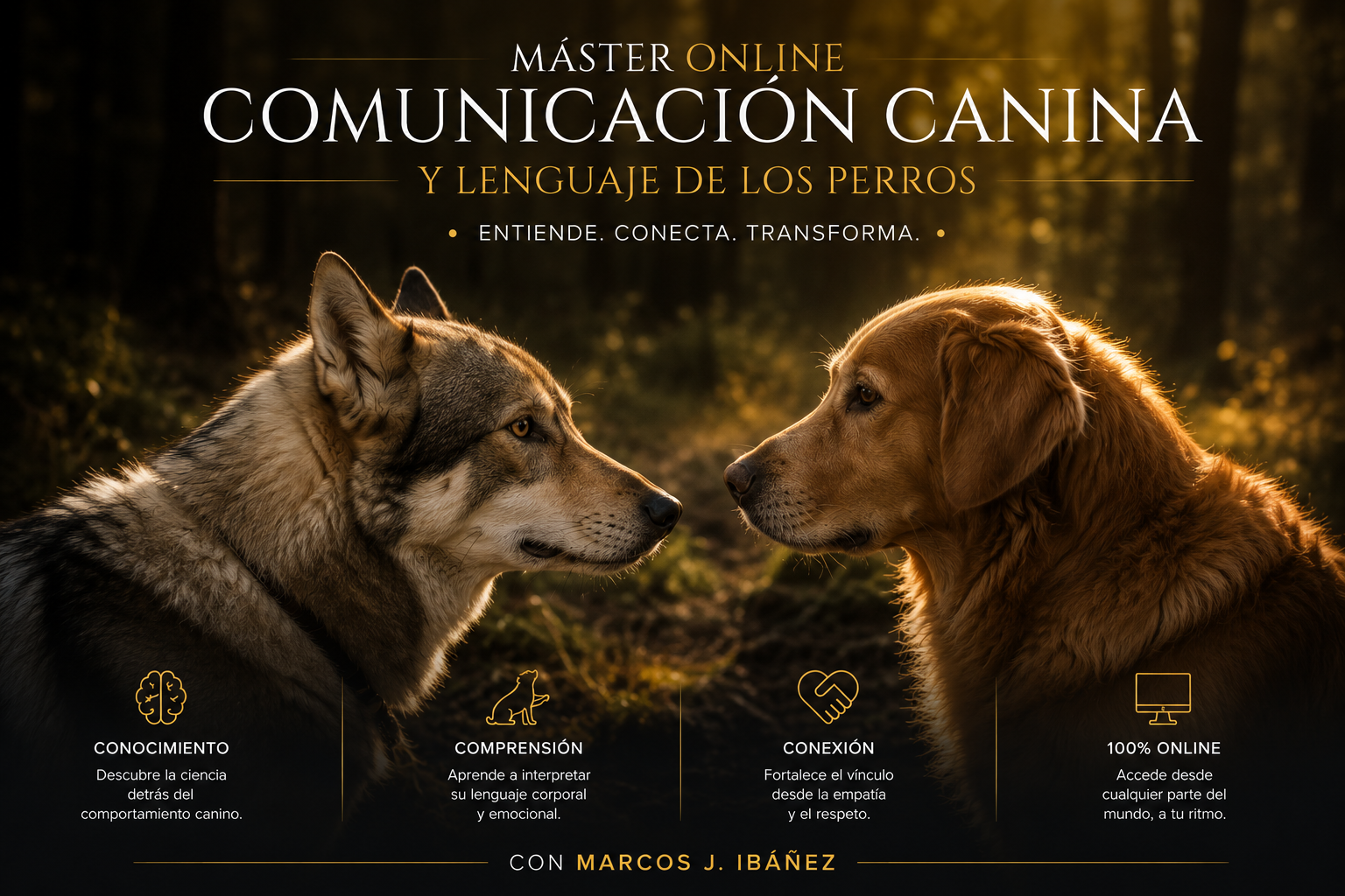 Sesión de Máster Online