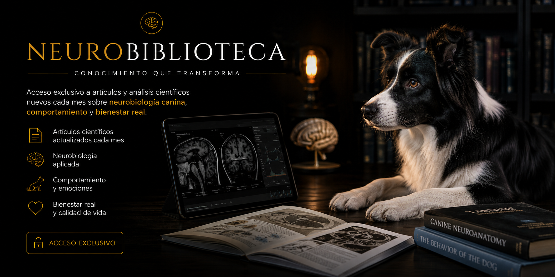 Neurobiblioteca canina