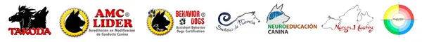 Logos de autoridad